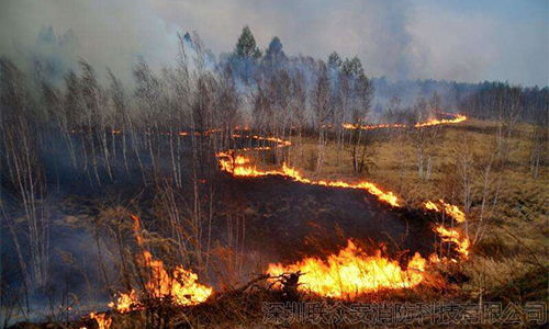 内蒙古发生蒙古国入境火灾