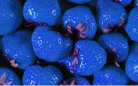 为什么蓝色的水果很少 蓝色的水果有哪些图片