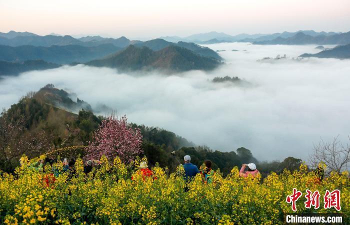 安徽黄山：云绕山峦绘春色