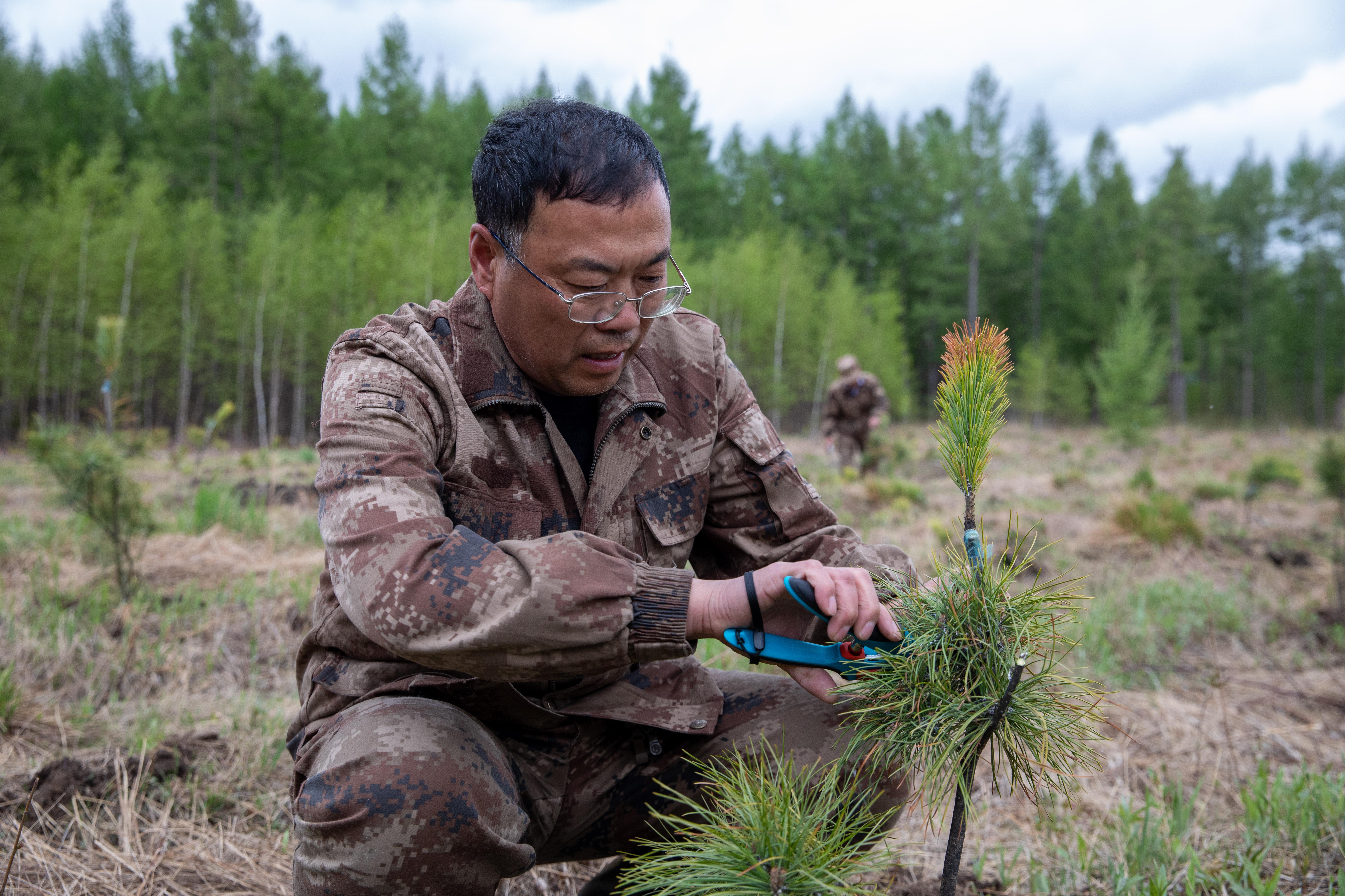（环境）生态经济助力“中国林都”转型发展